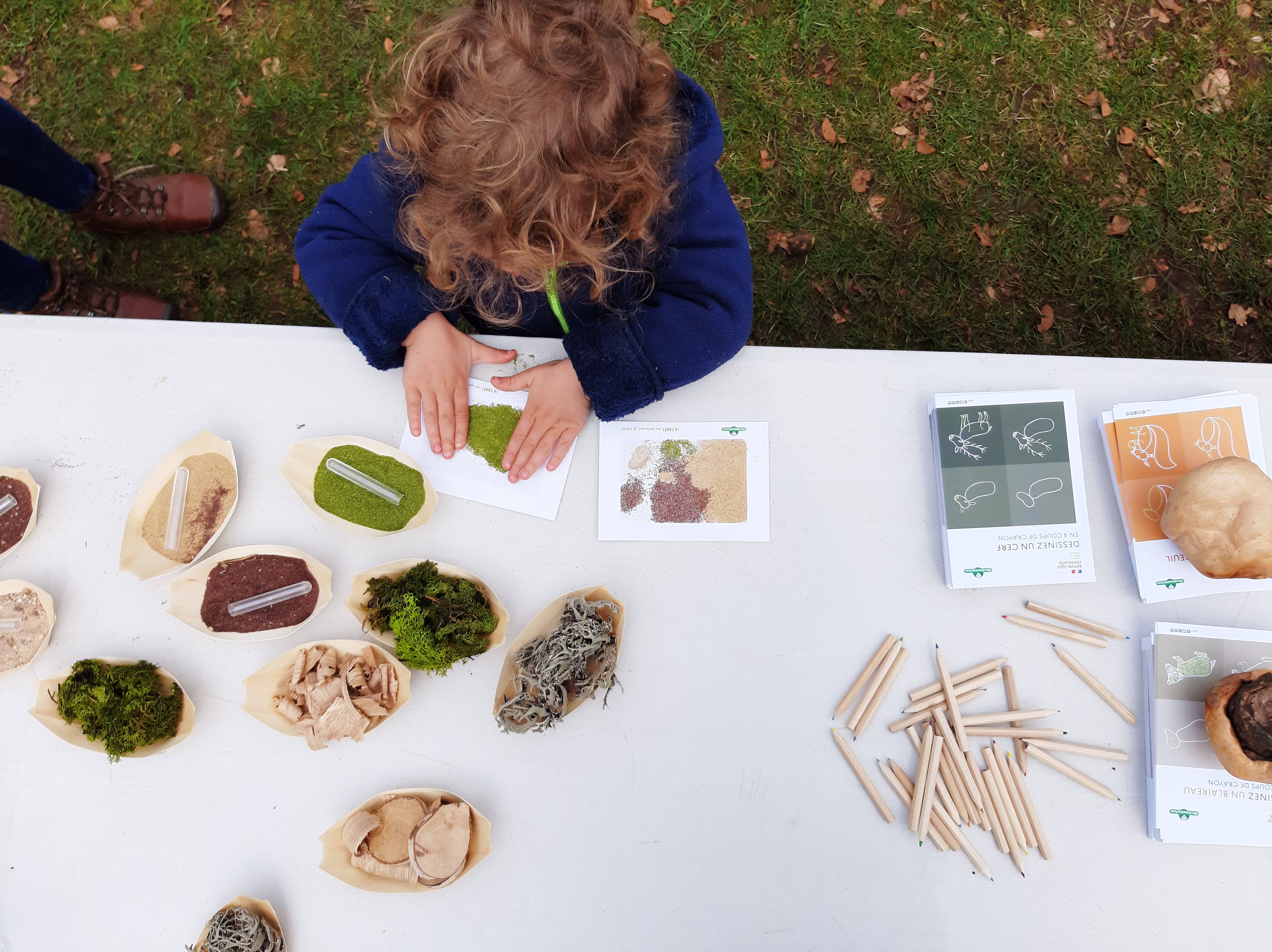 Réalisation de la journée de la JIF (aide)
